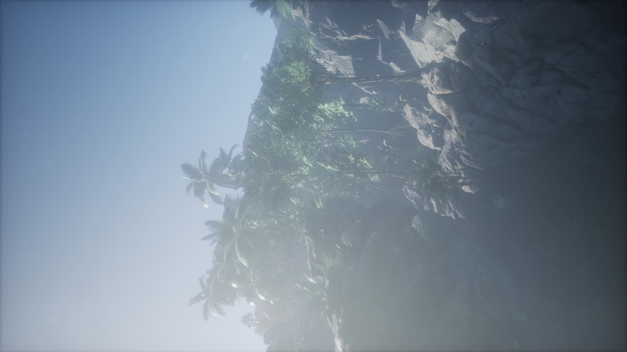 ⁇ 나무 를 가로지르는 해 가 지는 광선