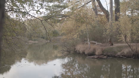 Slide-Reveal-Of-Lake---Pond-In-Autumn---Fall---Ungraded