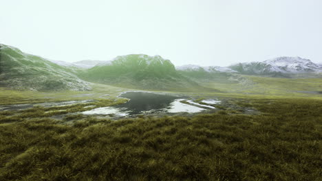 vast green landscape with a shimmering body of water in a mountainous region