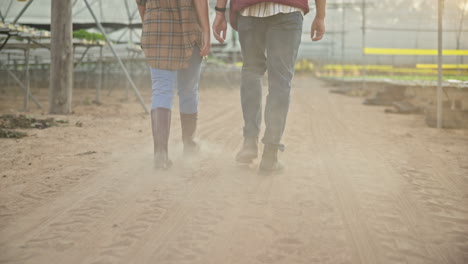 couple walking on a dirt road in a greenhouse