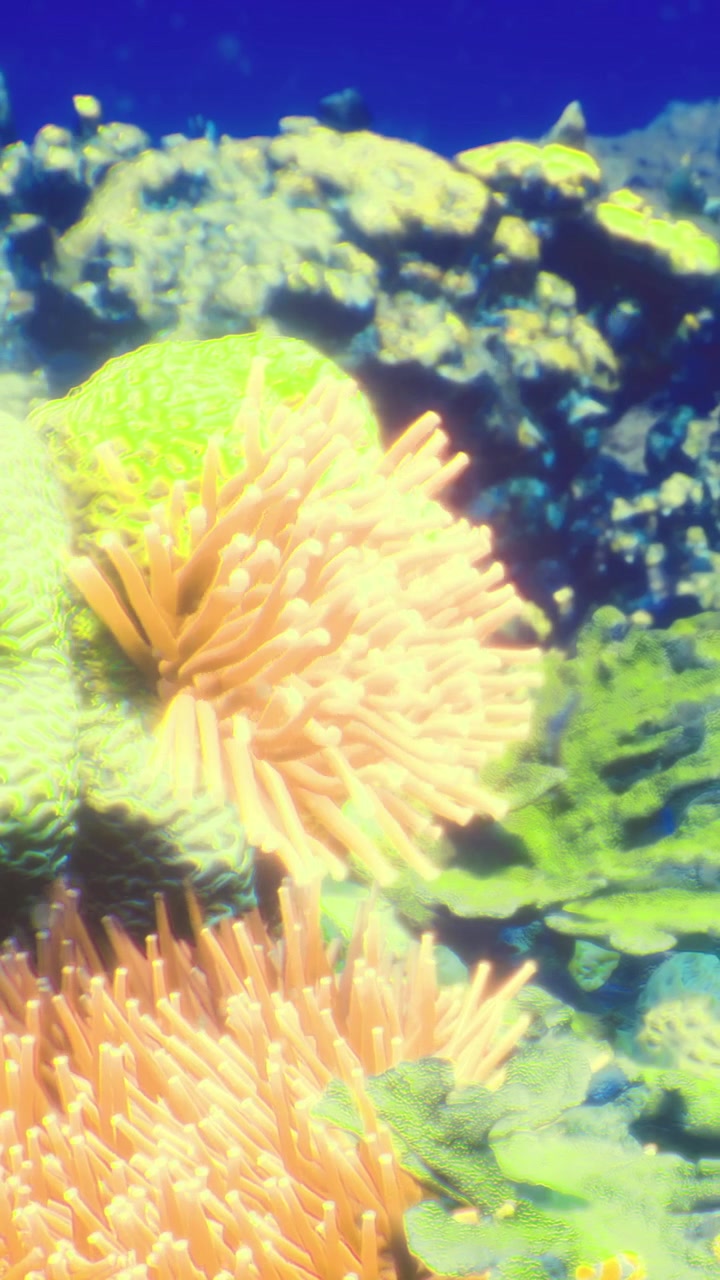 Vivace barriera corallina con vita marina in un ambiente sottomarino tropicale.
