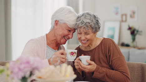 happy, relax and tea with senior friends in living
