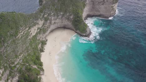 aerial view of secluded kelingking beach, nusa penida island, bali, white sandy lagoon under steep cliffs, tilt up drone shot