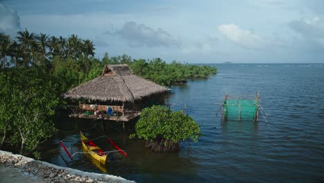 a house on stilts near the edge of a mangrove with the ocean in the background