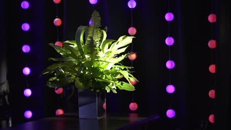 decoración floral, luces de colores cambiantes, atmósfera de fiesta club nocturno