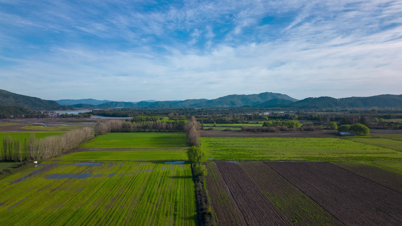 サン・ハビエル・デ・ロンコミラ チリ南部、マウレ