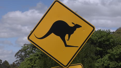 a kangaroo cross road sign stand near trees