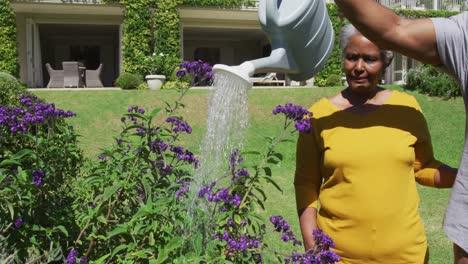 Hombre-Mayor-Afroamericano-Sonriendo-Mientras-Riega-Las-Plantas-En-El-Jardín