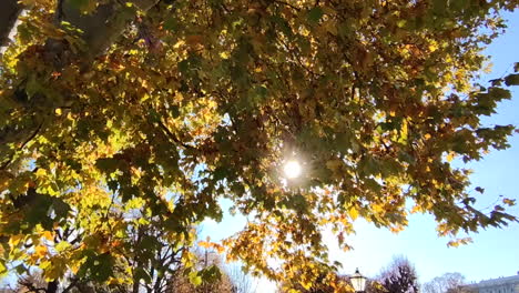 walking in park on sunny morning in vienna, austria