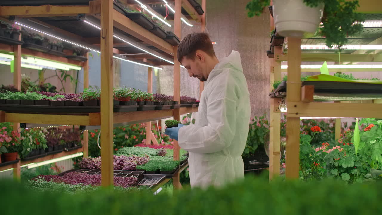Hydroponic Grow Room with Worker