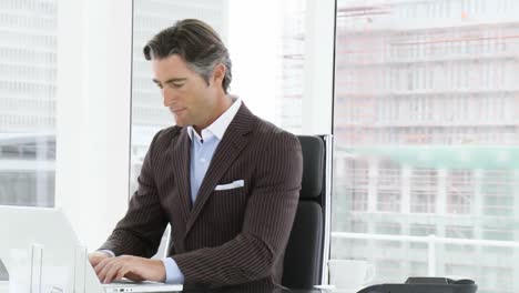 panorama of businessman using a laptop in office