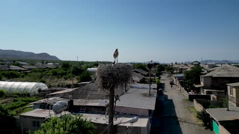 4k high definition drone video of the beautiful nesting stork birds- armenia