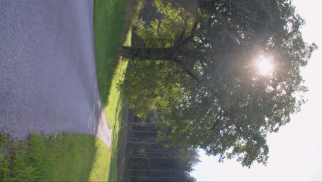 Peaceful-countryside-trail-path-road-with-tree-on-side,-sun-shining,-vertical