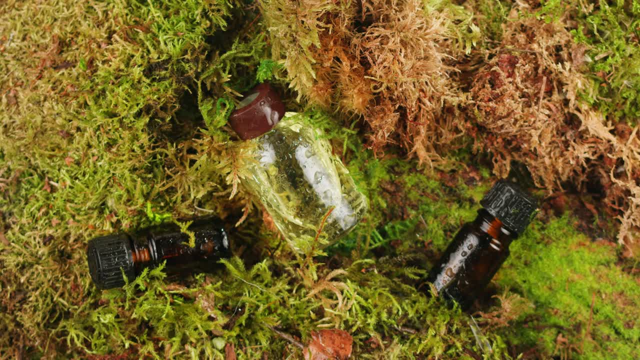 Bottle of cosmetics cream serum on moss forest background green leaves. Woman Make up healthy natural products.