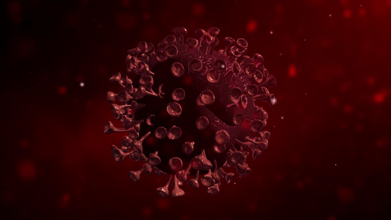 visualización del coronavirus