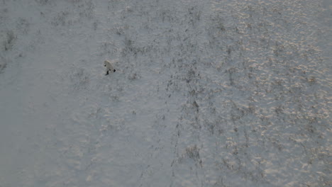 man wearing heavy coat walking on snow-covered terrain from above