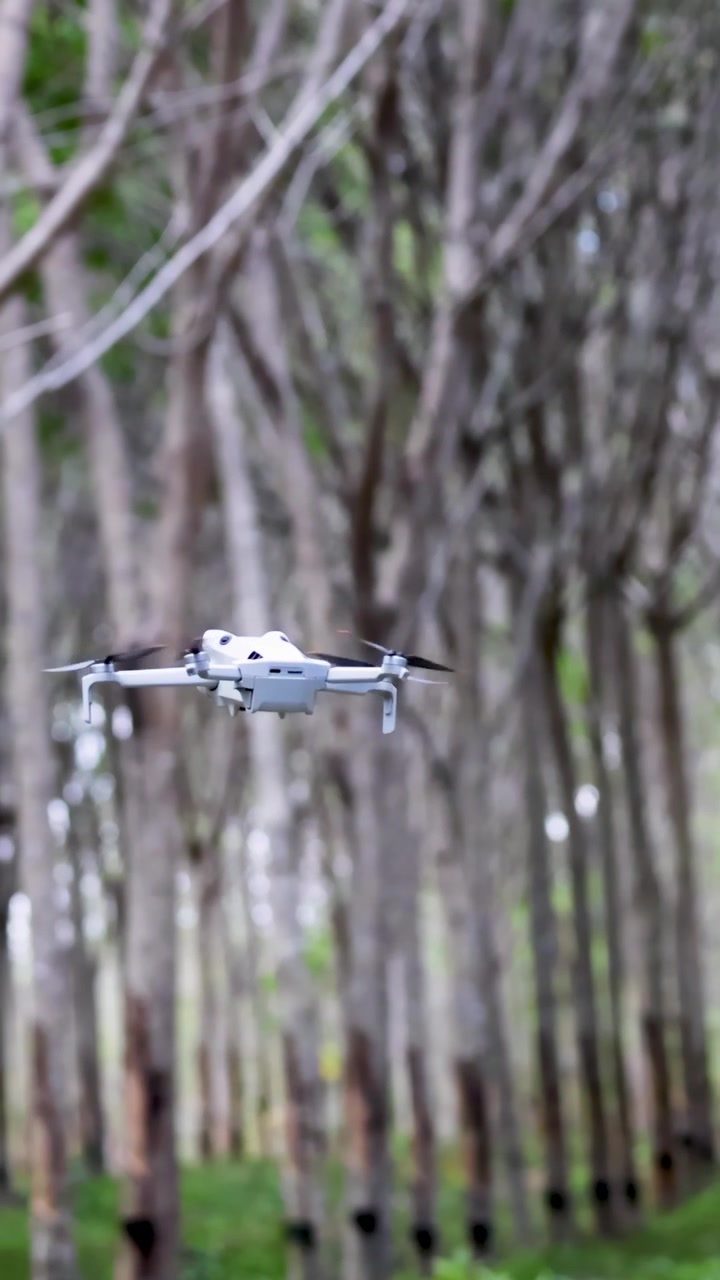 A drone navigates smoothly through a rubber tree plantation, showcasing its agility and stability in a natural setting