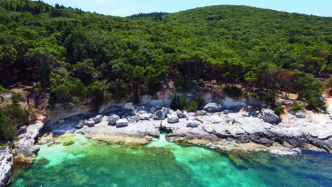 girl standing up on a rocky beach surrounded by thick green forest