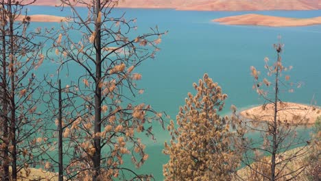 Lago-Oroville-California-Durante-Condiciones-Extremas-De-Sequía-Con-Bajos-Niveles-De-Agua-Y-árboles-Quemados