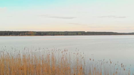 Antenne-über-Orangefarbenem-Schilf-Am-Friedlichen-See-Bei-Sonnenuntergang,-Vorwärts,-Jugla,-Riga