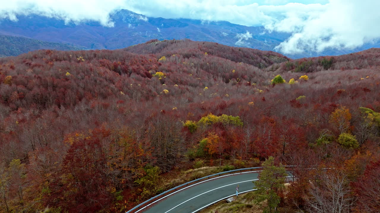 Colorful autumn forest with a winding road and mountains in the distance