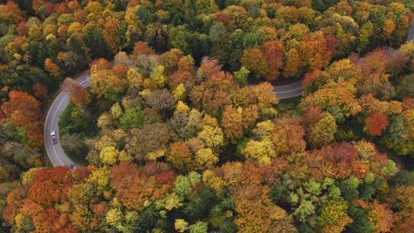 vuelo de un dron sobre un hermoso bosque de colores otoñales con coches de conducción en una calle con curvas, temporada maravillosa