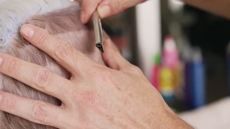 close up view woman having her hair cut by a hairdresser