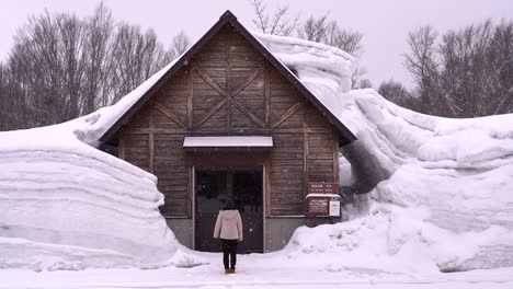 back of young girl standing in front of tall, snowed-in buiding