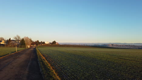 Vista-Escénica-Sobre-Un-Campo-Verde-En-El-Bosque-Negro,-Alemania