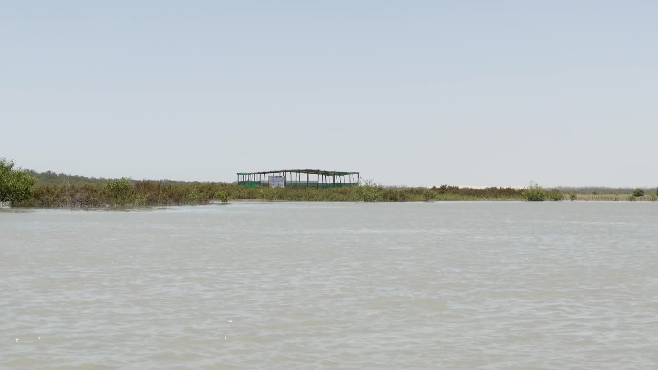 agua que fluye a través de un bosque de plantación de manglares en balochistán