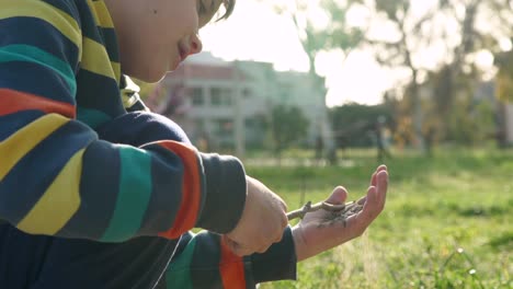 Close-up-,-side-view-of-caucasian-boy,-playing-with-wooden-stick-and-soil-in-his-hands