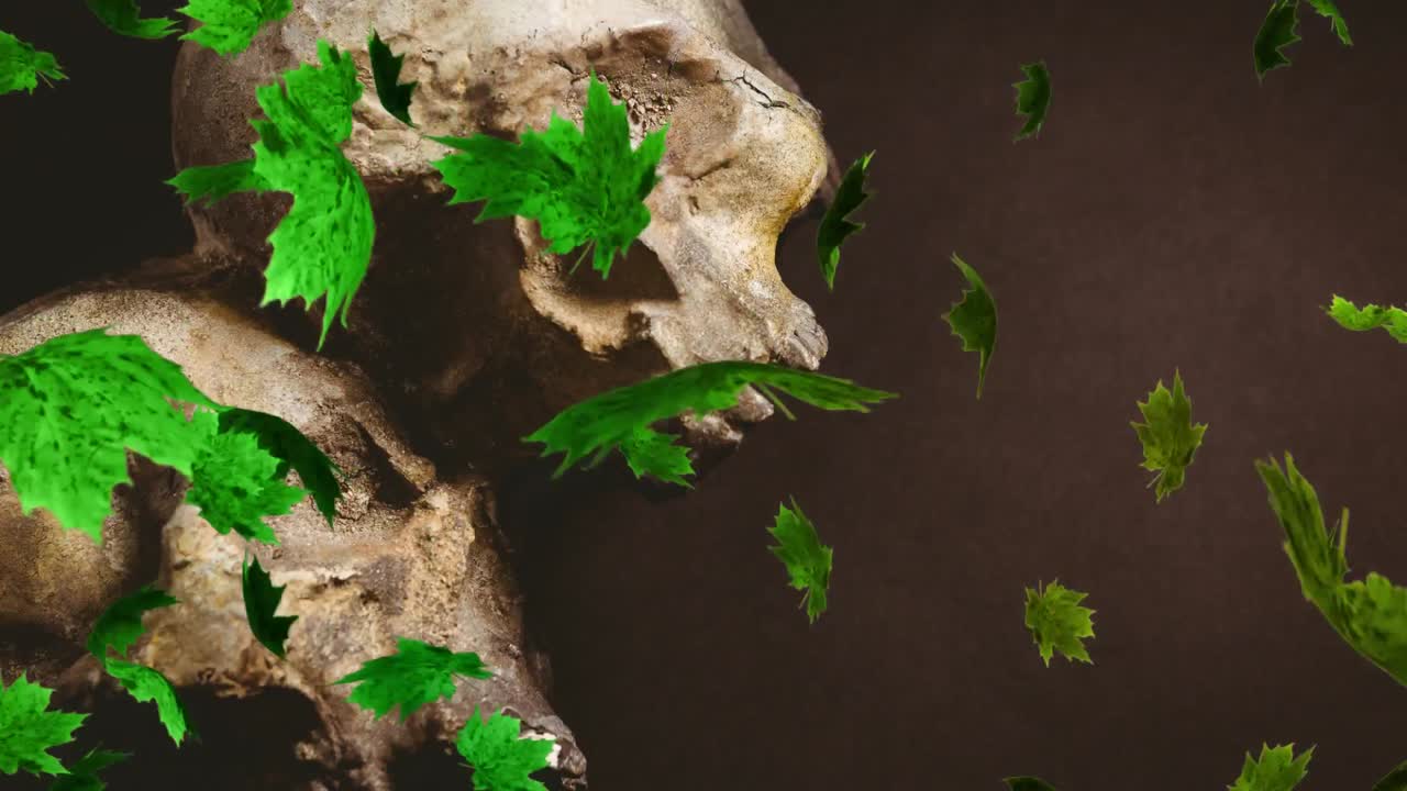 video compuesto digital de hojas de otoño que se mueven contra el cráneo de halloween en el fondo