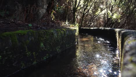 cerca de levada, pequeño canal de agua en madeira en un día soleado, ángulo bajo