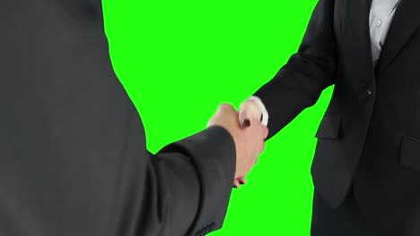 Business people handshaking