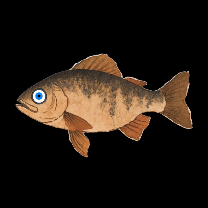 Pesce a cartone animato con occhi blu che sbatte le palpebre su sfondo nero