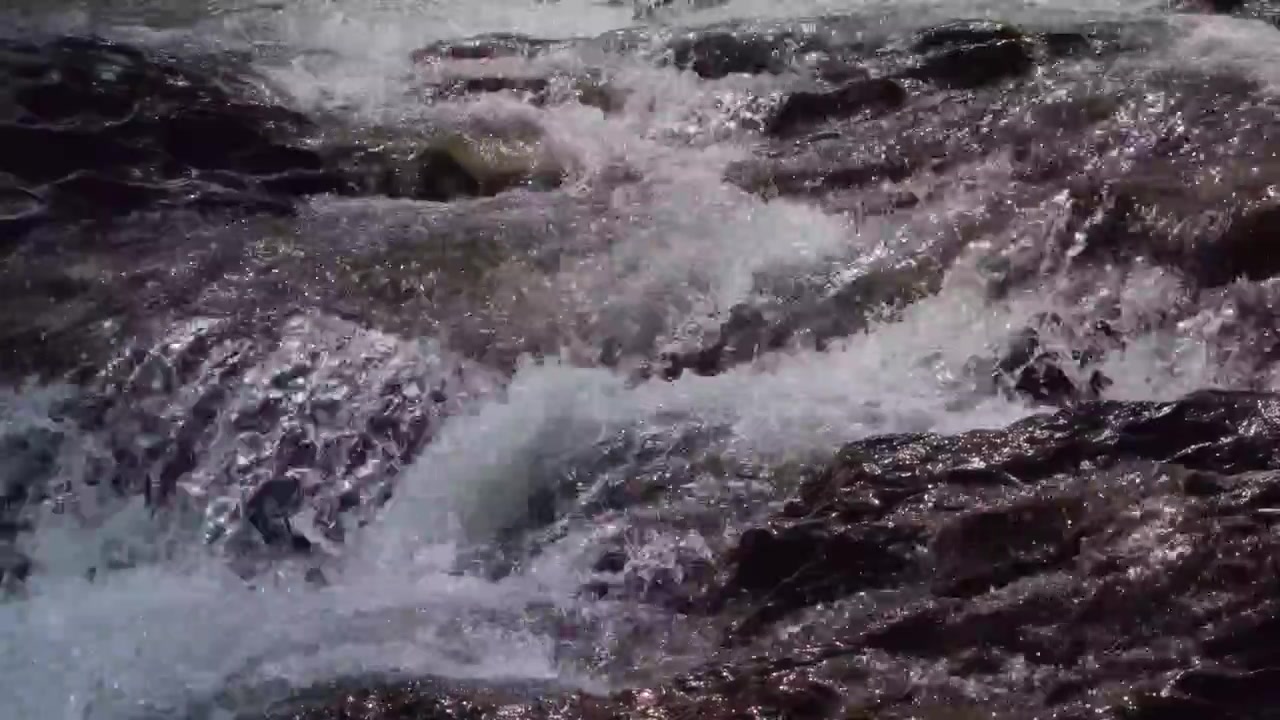 Un primo piano dinamico di acqua cristallina che scorre impetuosa su pietre di fiume scure e bagnate. La luce del sole colpisce l'acqua bianca e turbolenta, creando una texture scintillante e ad alta energia, perfetta per la natura e il benessere.