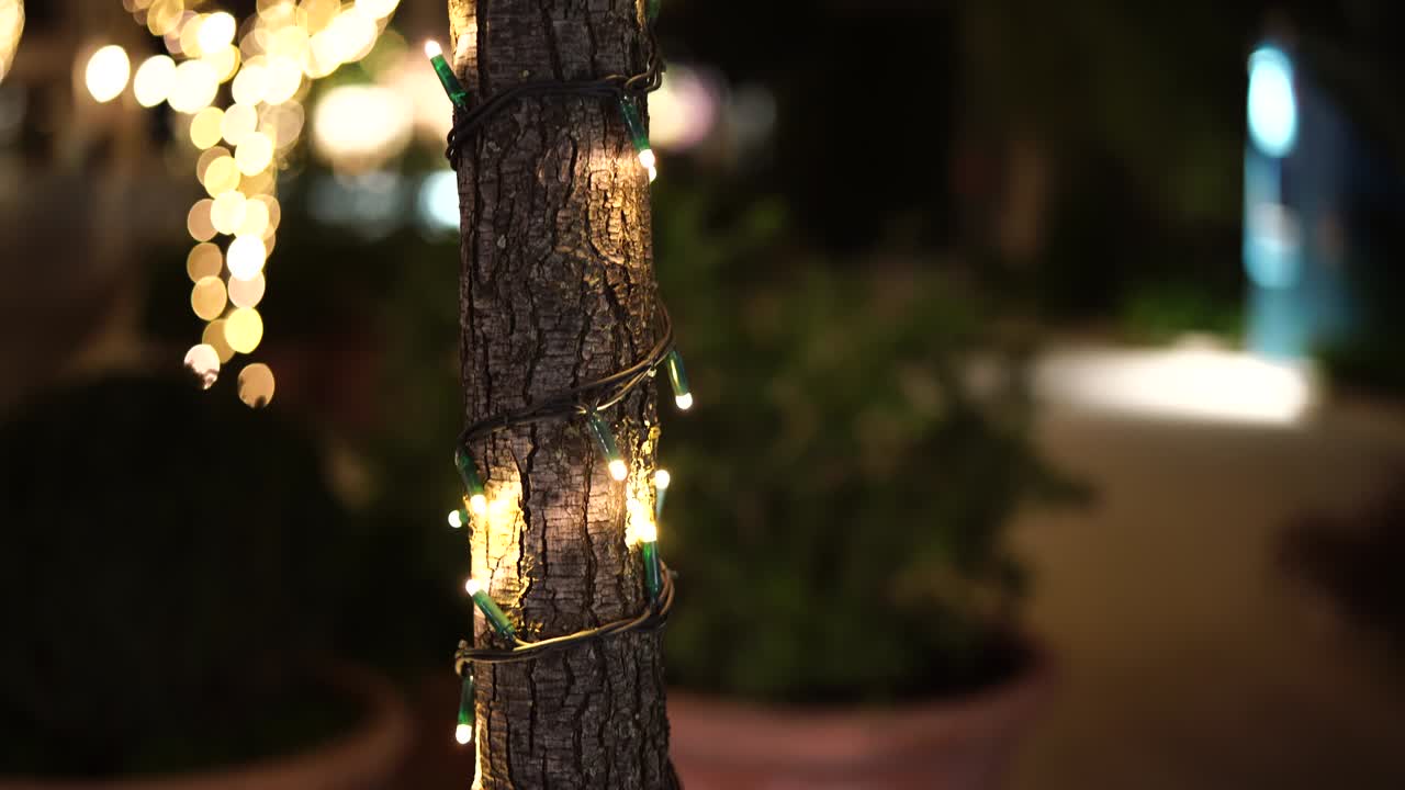 밖의 나무 줄기에 크리스마스 꽃받침, 공원에서 새해 거리 조명, 축제 조명, 배경에 보케가 있는 작은 전구.