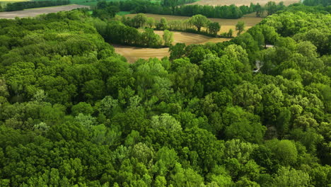 Big-cypress-tree-state-park,-tennessee,-showcasing-dense-green-forests-and-clearings,-aerial-view