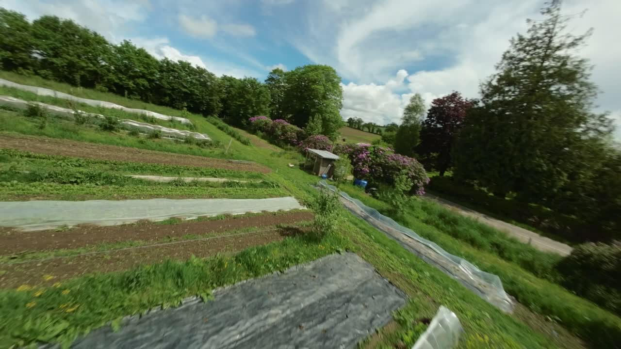 Fpv drone flight over the vegetable garden
