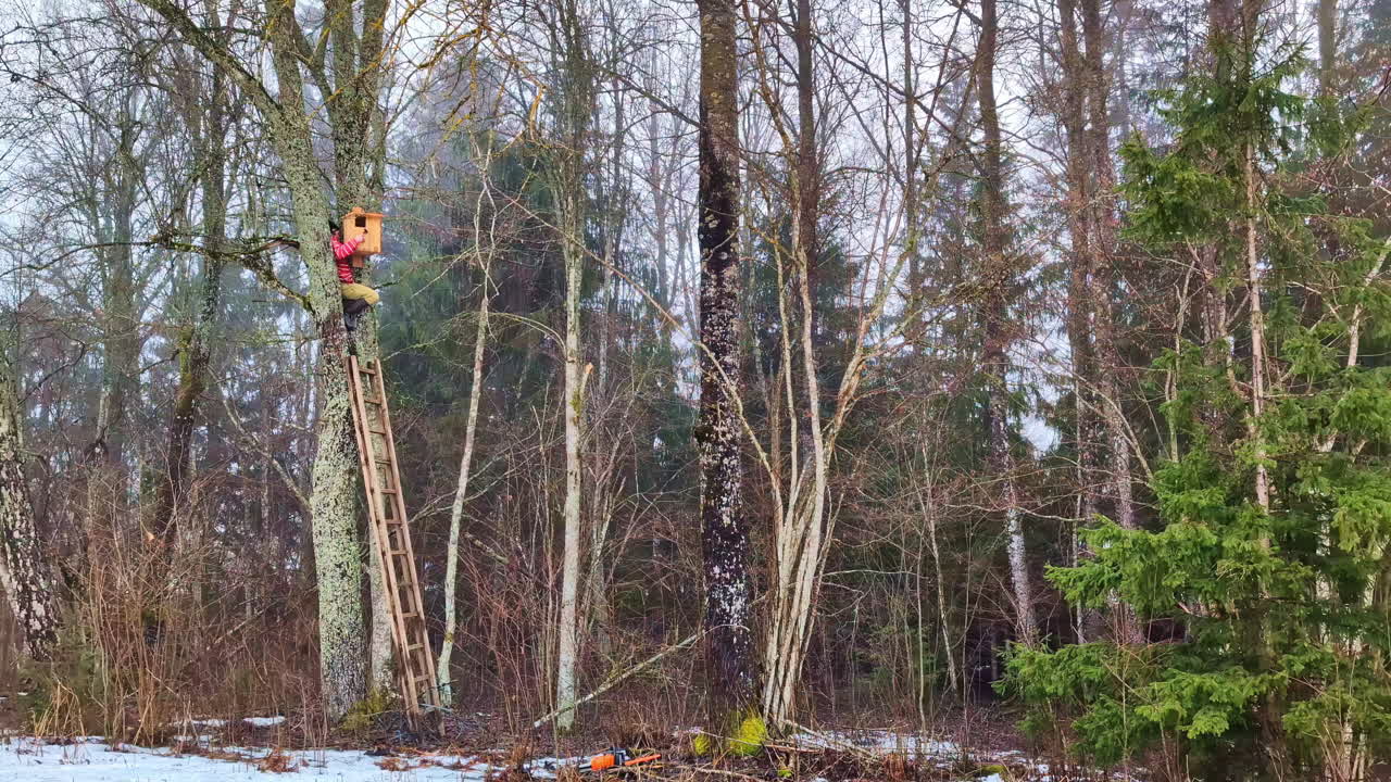persona en un árbol instalando una casa de murciélago en el bosque