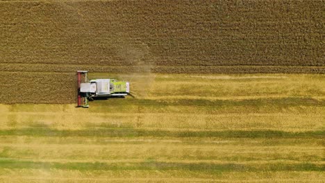 Top view of working combine. Aerial view of agricultural land with harvester