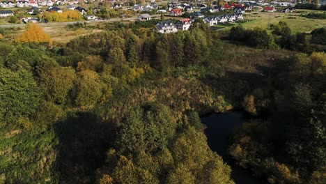 wild river overgrown with trees and bushes near meadows northern poland europe
