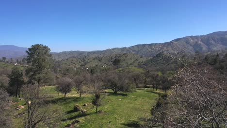 春天將新芽帶到樹木和綠草草地在tahachapi山脈 - 空中圖