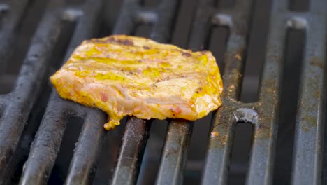 preparing fresh meat on a gas bbq grill