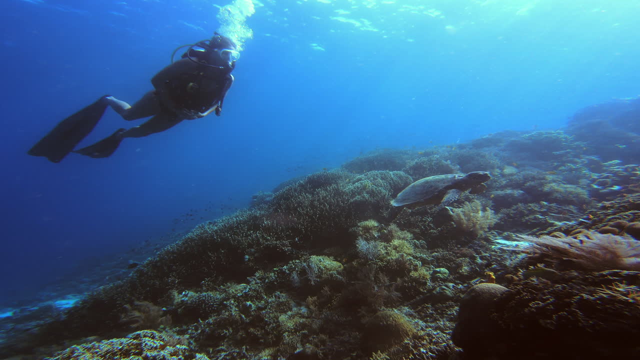 aquí abajo todo está tranquilo.