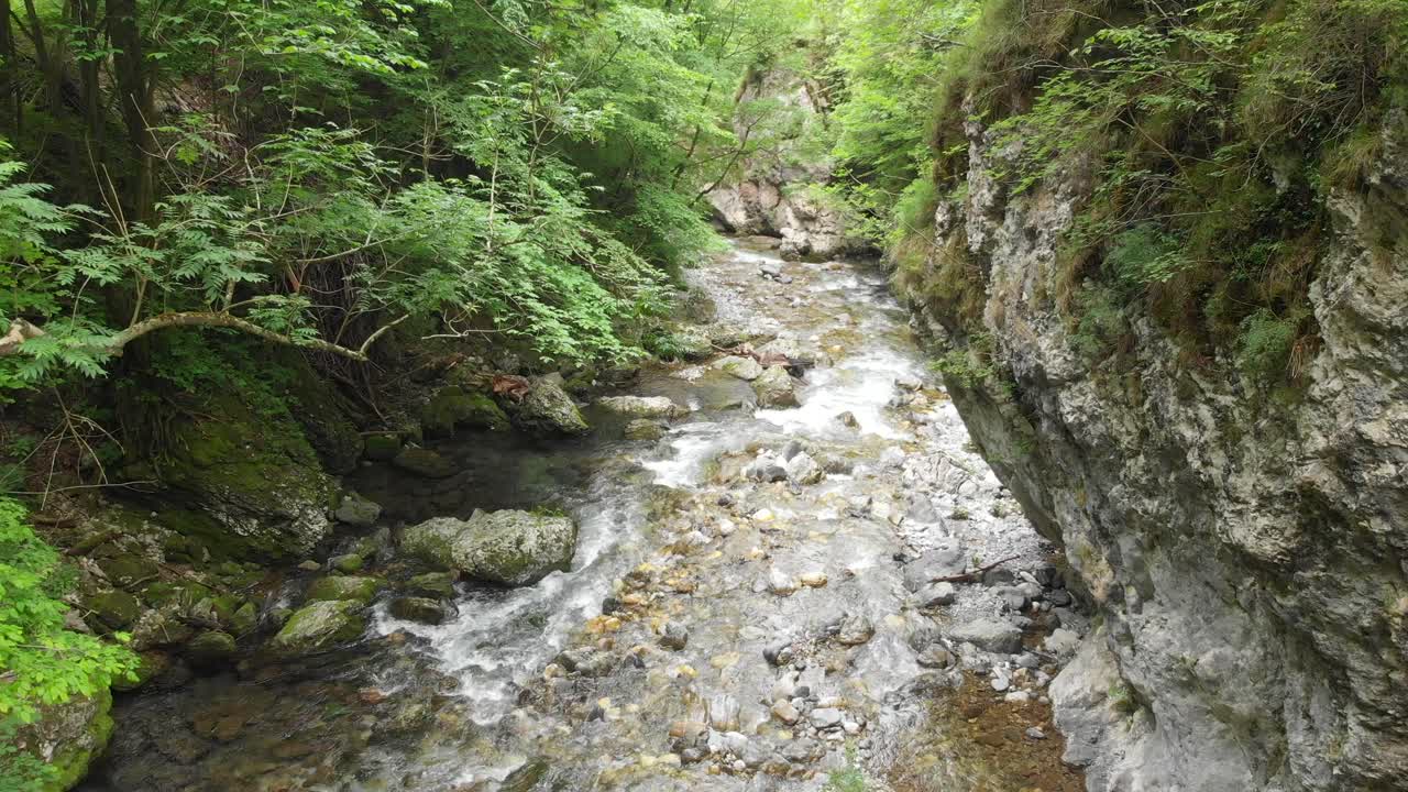 Refreshing flowing river moving through rough rocky canyon wilderness vegetation aerial view