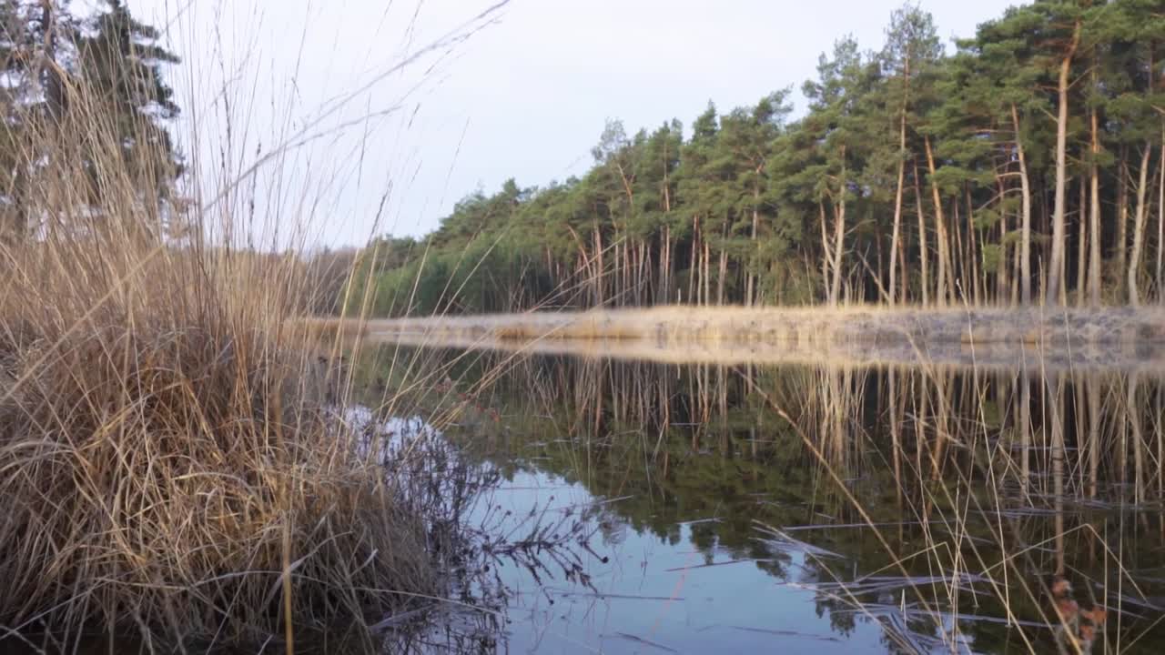 Skovsø Refleksion