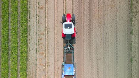 Vorbeiflug-Von-Oben,-Während-Landwirtschaftliche-Geräte-Eine-Reihe-Pflügen-Und-Kartoffeln-Ernten