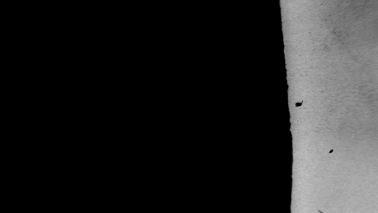 Abstract White Ink Paint Reveal on Black Background