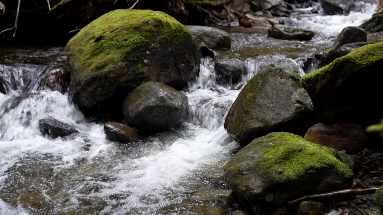 A Stream Flowing In Tennessee